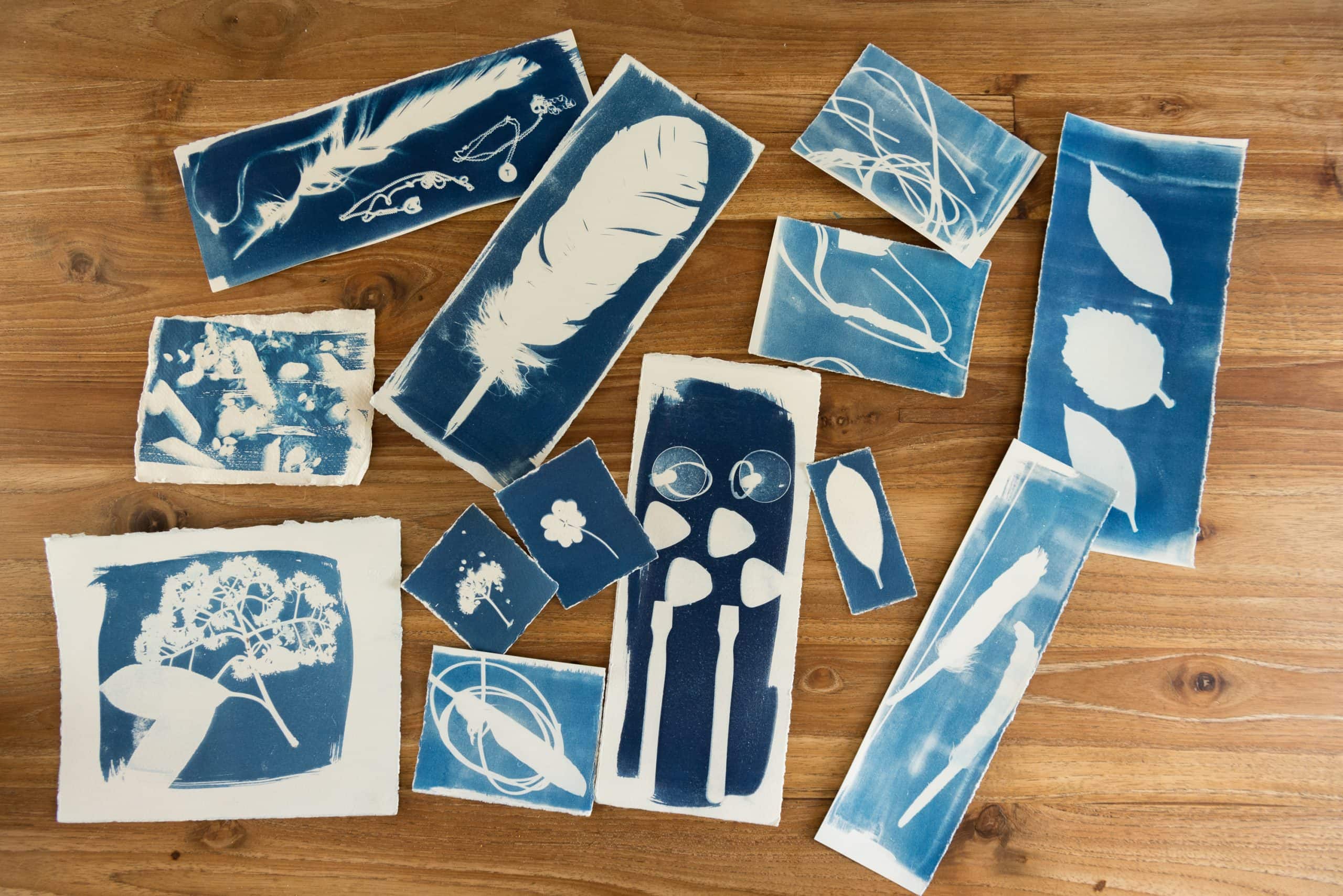 Print Making with Cyanotype